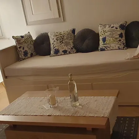 Apartment Gaestehaus Ringhof *