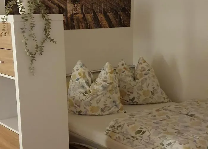 Gaestehaus Ringhof * Florsheim-Dalsheim