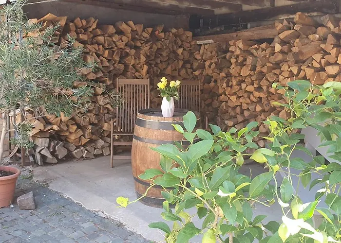 Gaestehaus Ringhof * Florsheim-Dalsheim